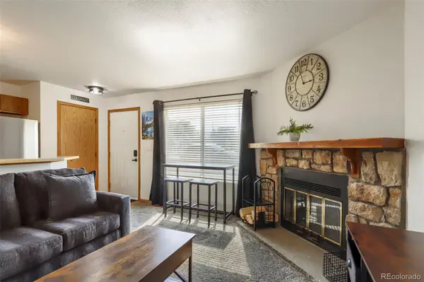 4266 S Eldridge ST #101, Morrison, CO 80465