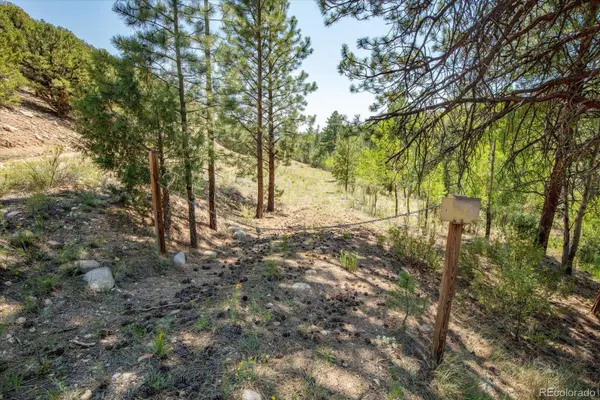 000 TBD Kiowa RD, Salida, CO 81236