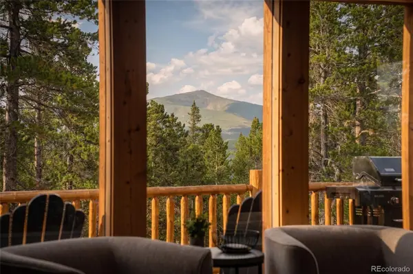 1662 Bobcat LN, Fairplay, CO 80440