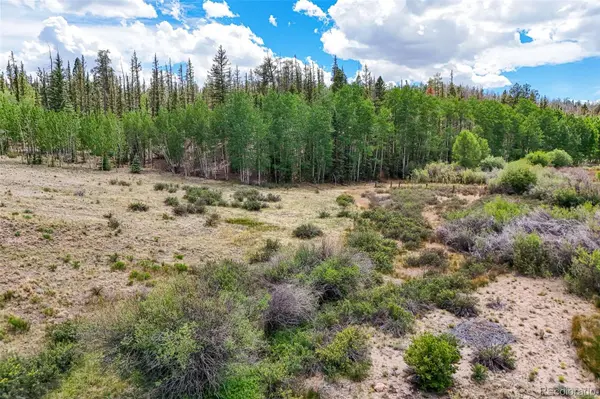 1111 Latigo LOOP, Hartsel, CO 80820