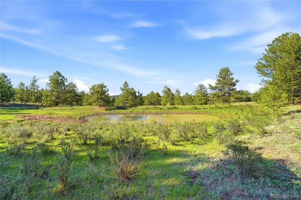 Doe Valley RD, Guffey, CO 80820