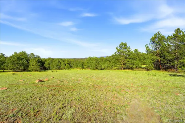 Doe Valley RD, Guffey, CO 80820