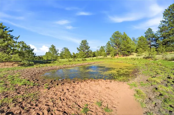 Doe Valley RD, Guffey, CO 80820