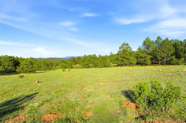 Doe Valley RD, Guffey, CO 80820