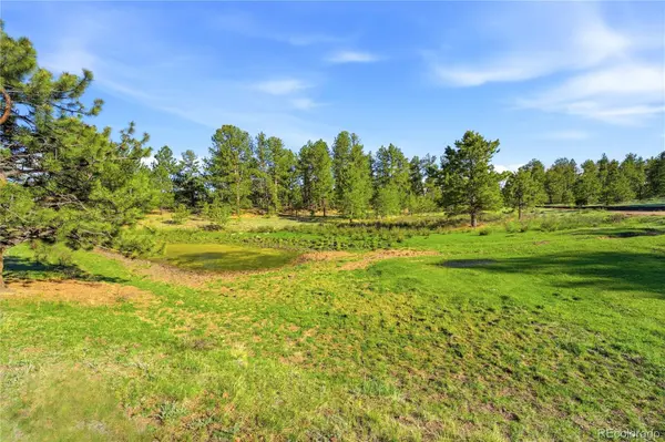 Doe Valley RD, Guffey, CO 80820