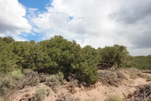 LOT 2157 San Isabel RD, Fort Garland, CO 81133