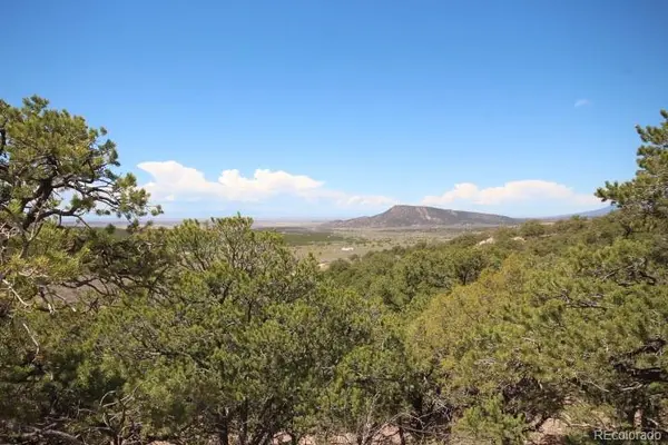 LOT 2157 San Isabel RD, Fort Garland, CO 81133