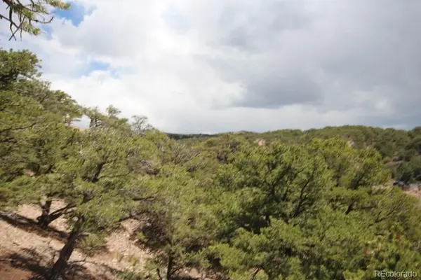 LOT 2157 San Isabel RD, Fort Garland, CO 81133
