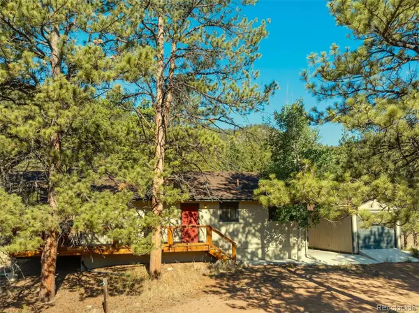 62 White TRL, Lake George, CO 80827
