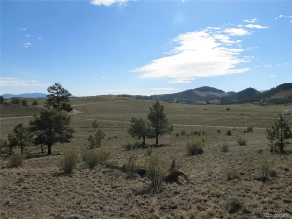 Lot 49 Quail CT, Hartsel, CO 80449