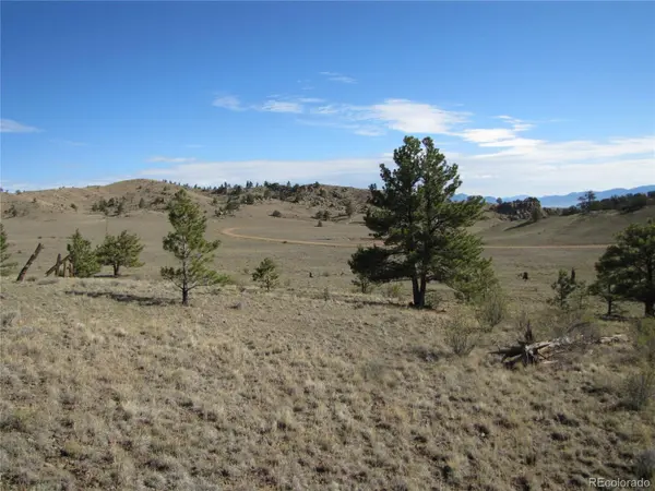 Lot 49 Quail CT, Hartsel, CO 80449