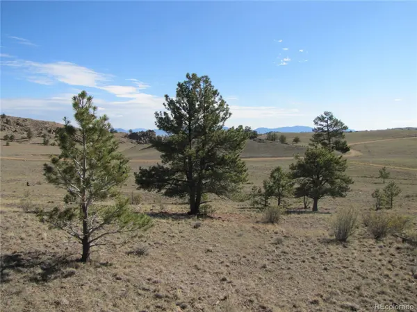 Lot 49 Quail CT, Hartsel, CO 80449