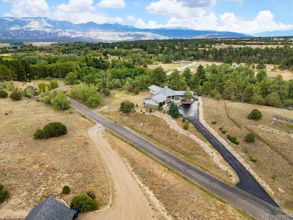 13030 County Road 261d, Nathrop, CO 81236