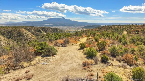 #26 Rancho Verde RD, Trinidad, CO 81082