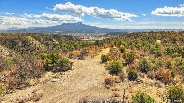 #26 Rancho Verde RD, Trinidad, CO 81082