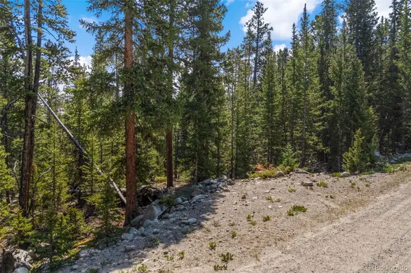 914 Bobcat LN, Fairplay, CO 80440