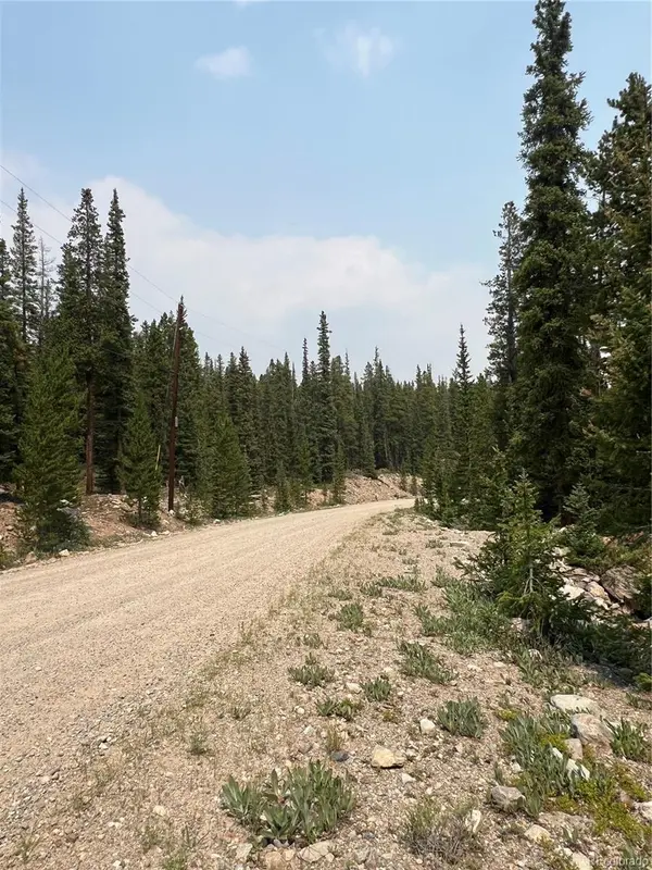 914 Bobcat LN, Fairplay, CO 80440