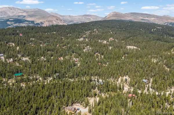 914 Bobcat LN, Fairplay, CO 80440