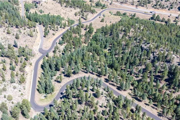 14850 Quandary Peak RD, Pine, CO 80470