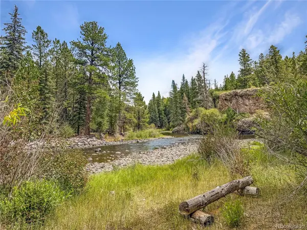 28 Bear Run St, Antonito, CO 81120