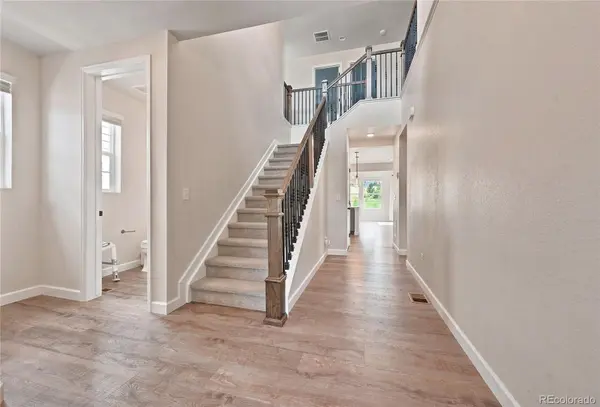 5462 Gray Wolf LN, Castle Rock, CO 80104
