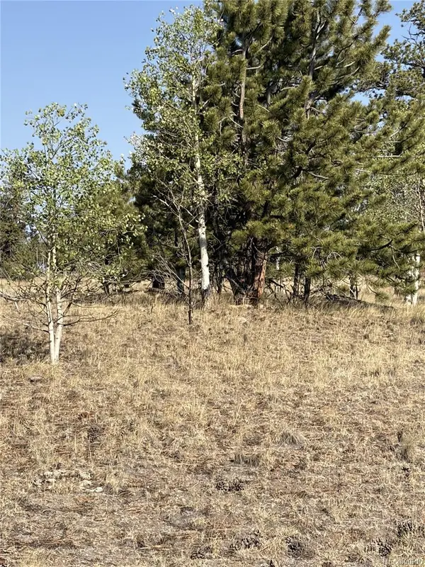 3031 Mcdowell DR, Como, CO 80432