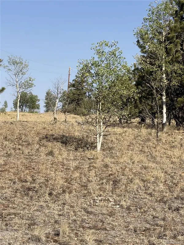 3031 Mcdowell DR, Como, CO 80432