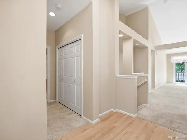 9805 Carmel CT, Lone Tree, CO 80124