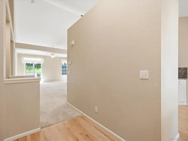 9805 Carmel CT, Lone Tree, CO 80124