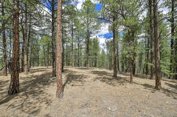 293 Badger TRL, Florissant, CO 80816
