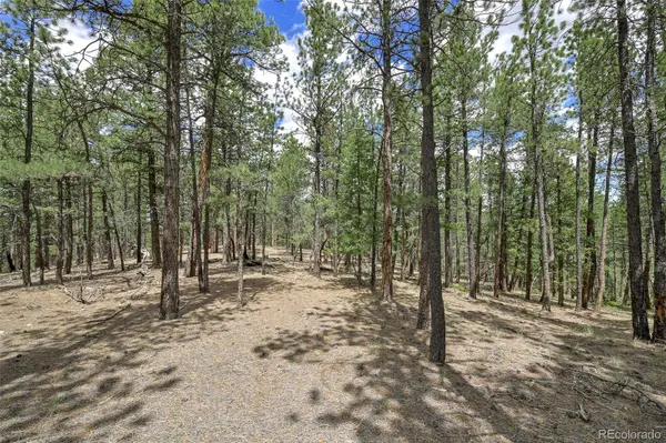 293 Badger TRL, Florissant, CO 80816