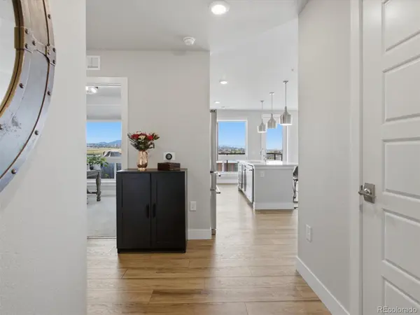 20 Wilcox ST #502, Castle Rock, CO 80104