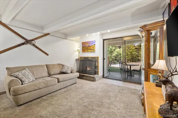 220 E La Bonte ST #130, Dillon, CO 80435