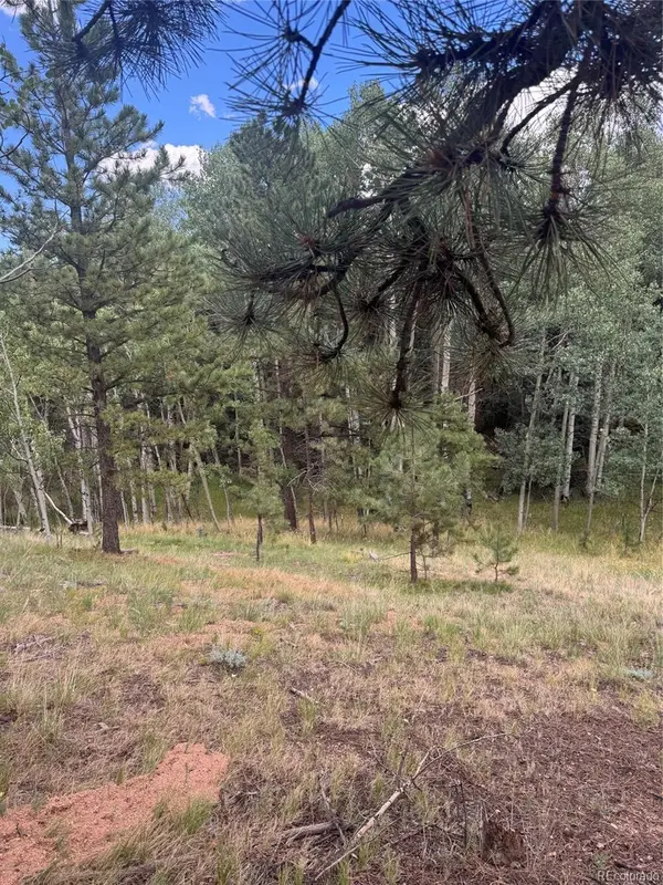 40 Sequoia TRL, Woodland Park, CO 80863
