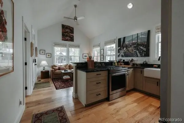 1101 River Park RD, Buena Vista, CO 81211
