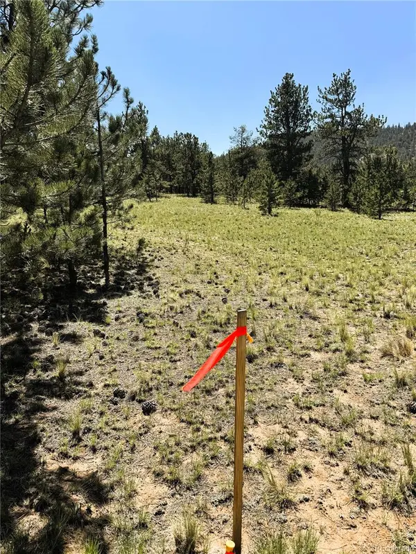 127 Boulder RD, Hartsel, CO 80449