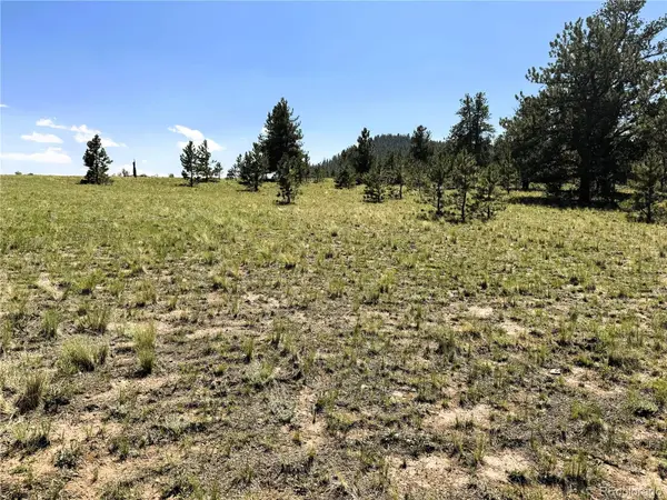127 Boulder RD, Hartsel, CO 80449