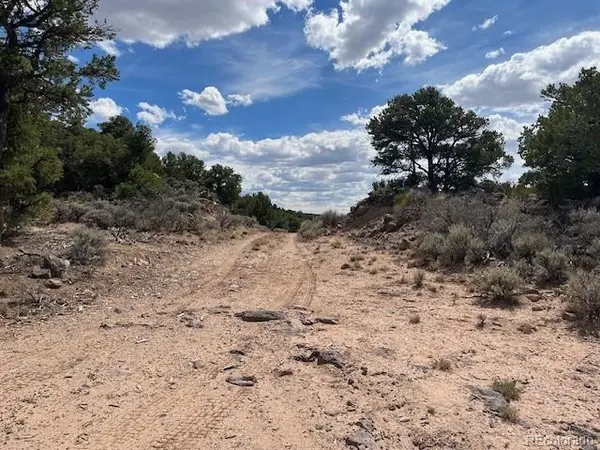 Lot 8 Coyote CT, San Luis, CO 81152