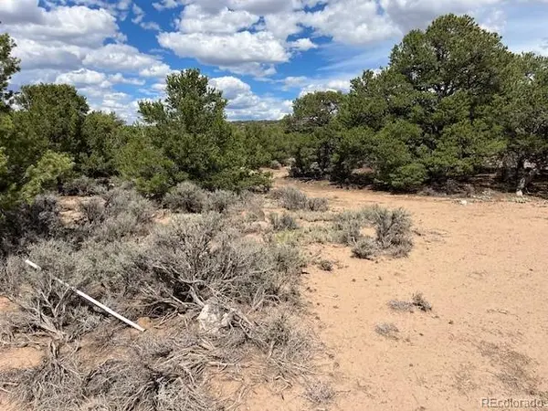 Lot 8 Coyote CT, San Luis, CO 81152
