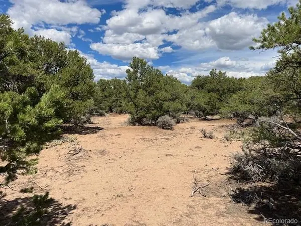 Lot 8 Coyote CT, San Luis, CO 81152