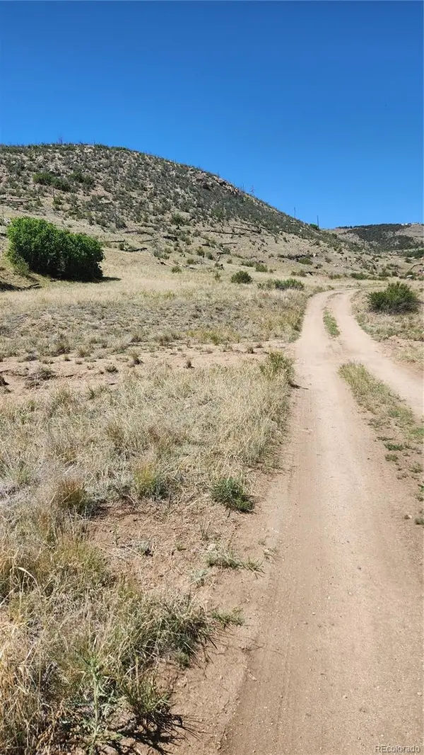 TBD L 35th TRL, Cotopaxi, CO 81223