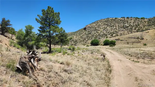 TBD L 35th TRL, Cotopaxi, CO 81223