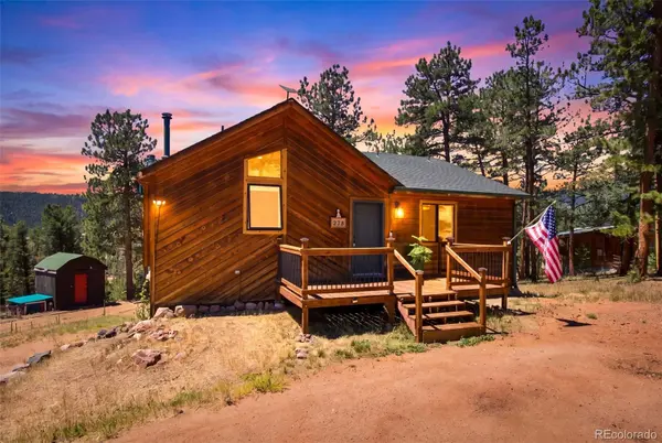 278 Hayes ST, Bailey, CO 80421