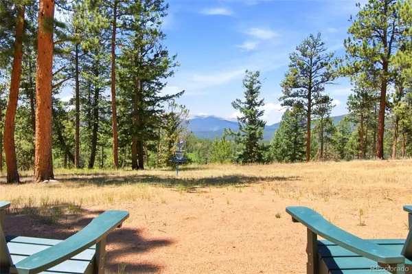 278 Hayes ST, Bailey, CO 80421