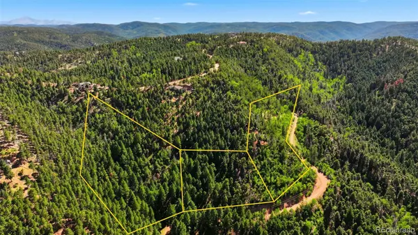 13446 S Firedog WAY, Larkspur, CO 80118