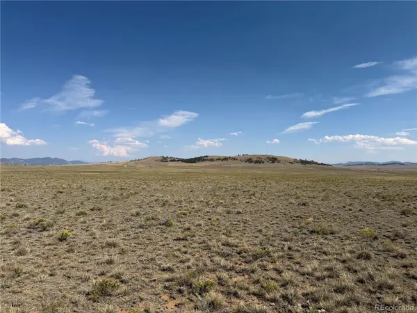 294 Hinsdale RD, Hartsel, CO 80449
