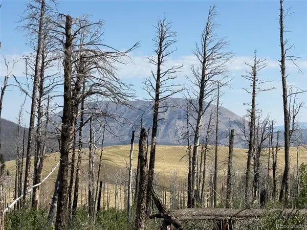 Lot 2498 Gilmartin LN, Fort Garland, CO 81133
