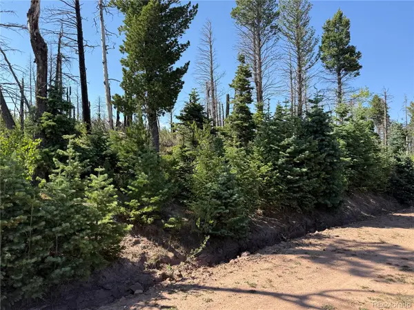 Lot 2498 Gilmartin LN, Fort Garland, CO 81133