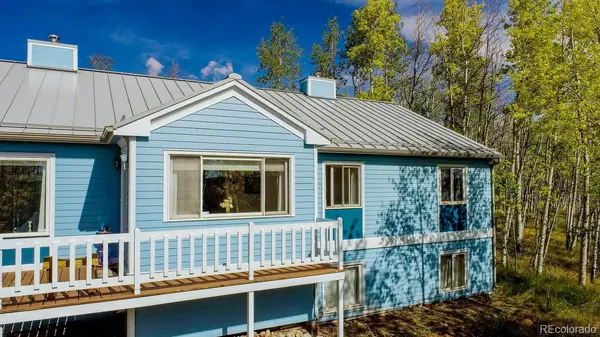 331 Canthook LN, Fairplay, CO 80440