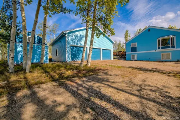 331 Canthook LN, Fairplay, CO 80440